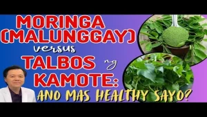 Malunggay o Talbos ng Kamote: Ano ang Mas Mainam sa Kalusugan?