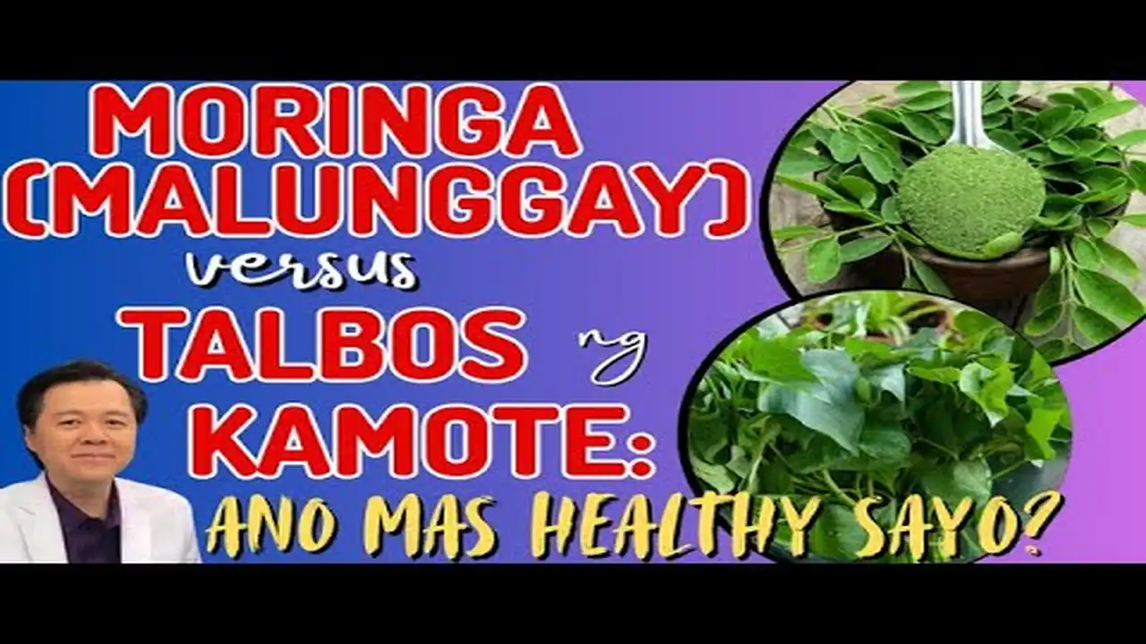 Malunggay o Talbos ng Kamote: Ano ang Mas Mainam sa Kalusugan?