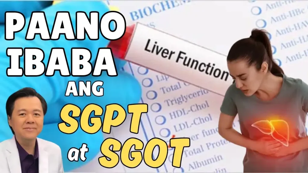 Mataas na SGPT at SGOT: Mabisang Paraan para Protektahan ang Atay