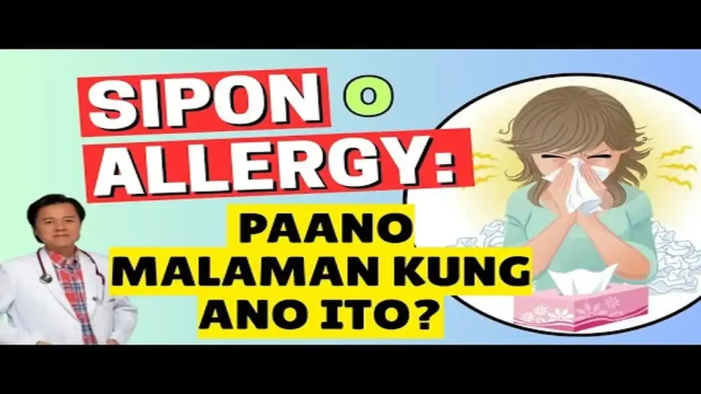 Sipon o Allergy: Paano Mo Malalaman ang Pagkakaiba Nito?