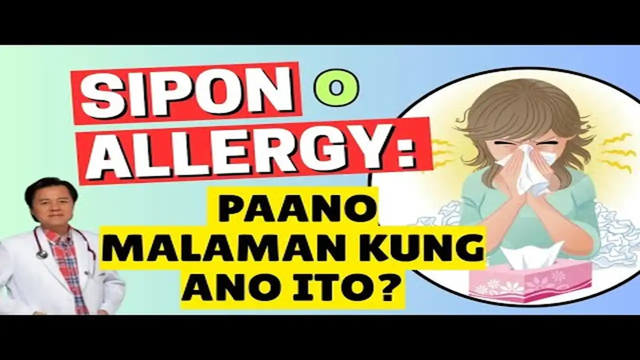 Sipon o Allergy: Paano Mo Malalaman ang Pagkakaiba Nito?